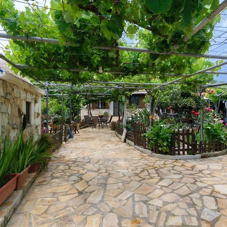 Dimitris'S Country House Agia  Екстериор снимка