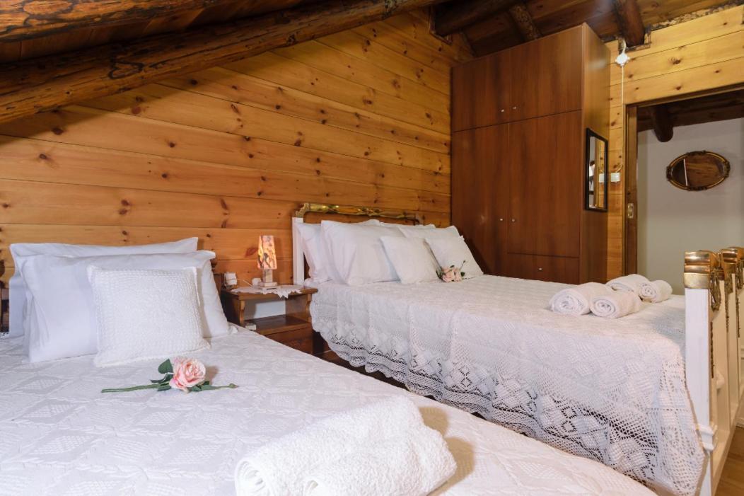 Dimitris'S Country House Agia  Екстериор снимка
