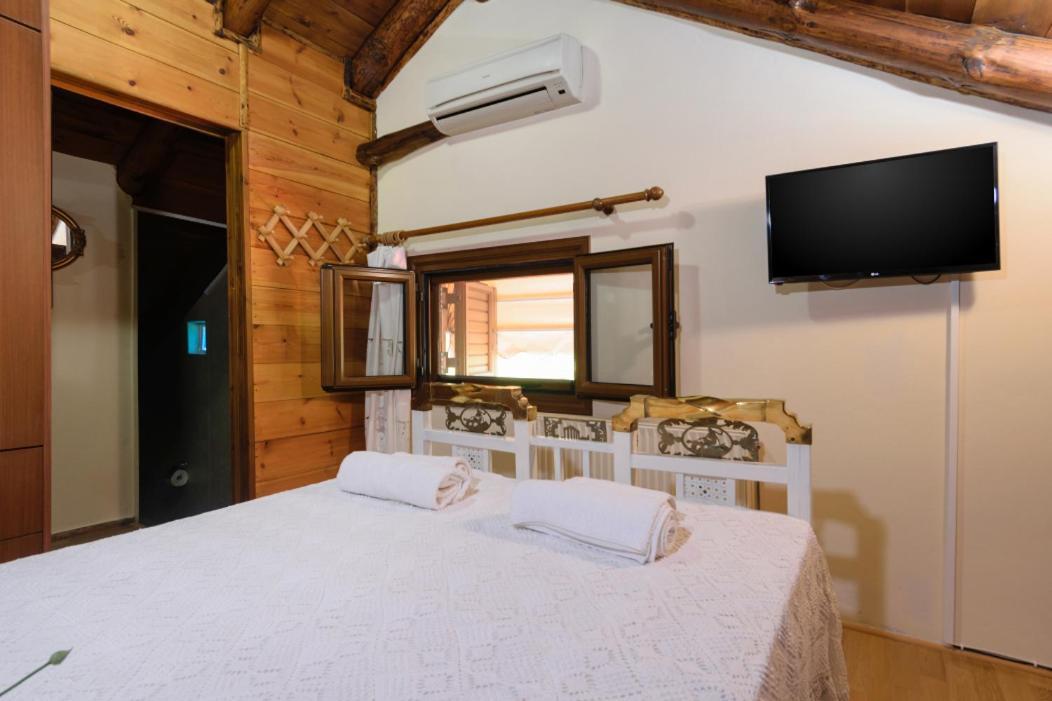 Dimitris'S Country House Agia  Екстериор снимка