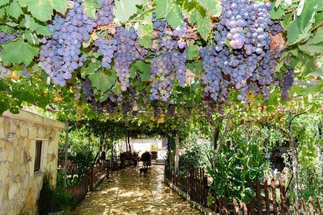Dimitris'S Country House Agia  Екстериор снимка
