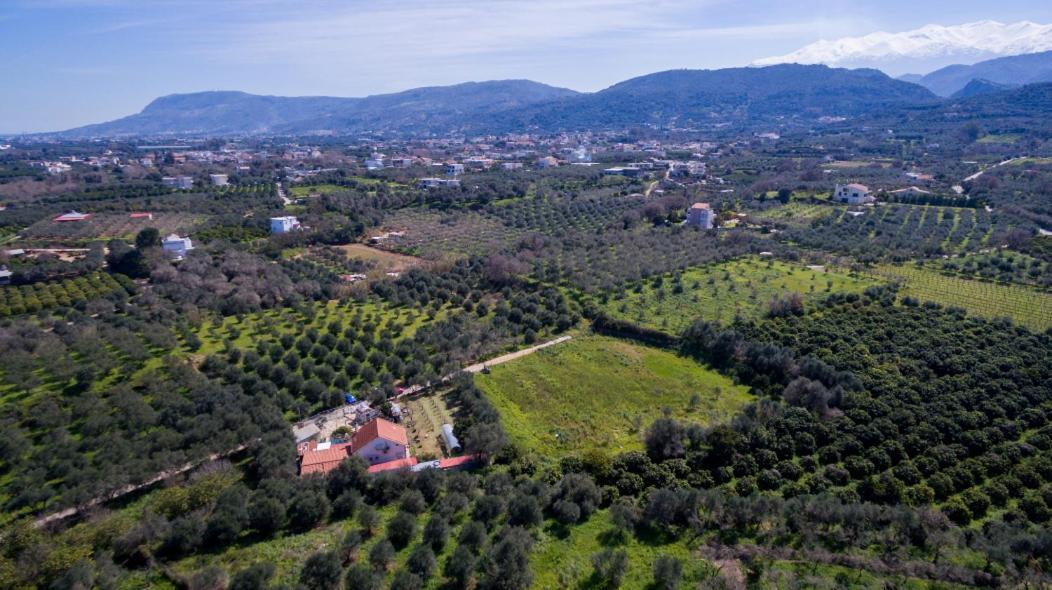 Dimitris'S Country House Agia  Екстериор снимка