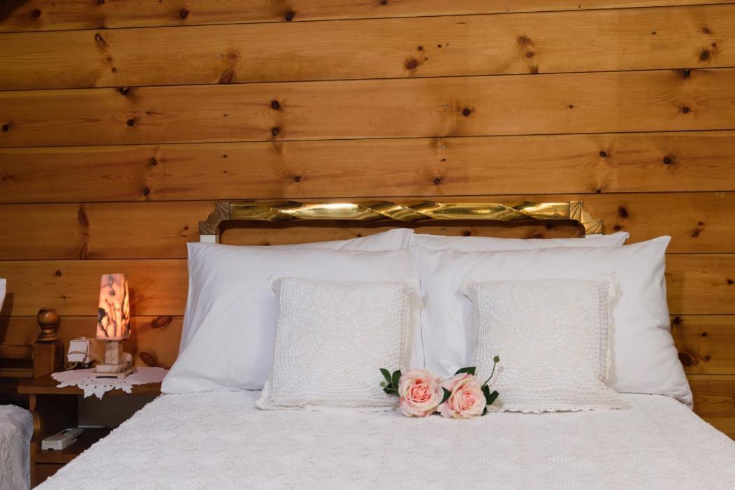 Dimitris'S Country House Agia  Екстериор снимка