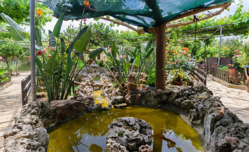 Dimitris'S Country House Agia  Екстериор снимка