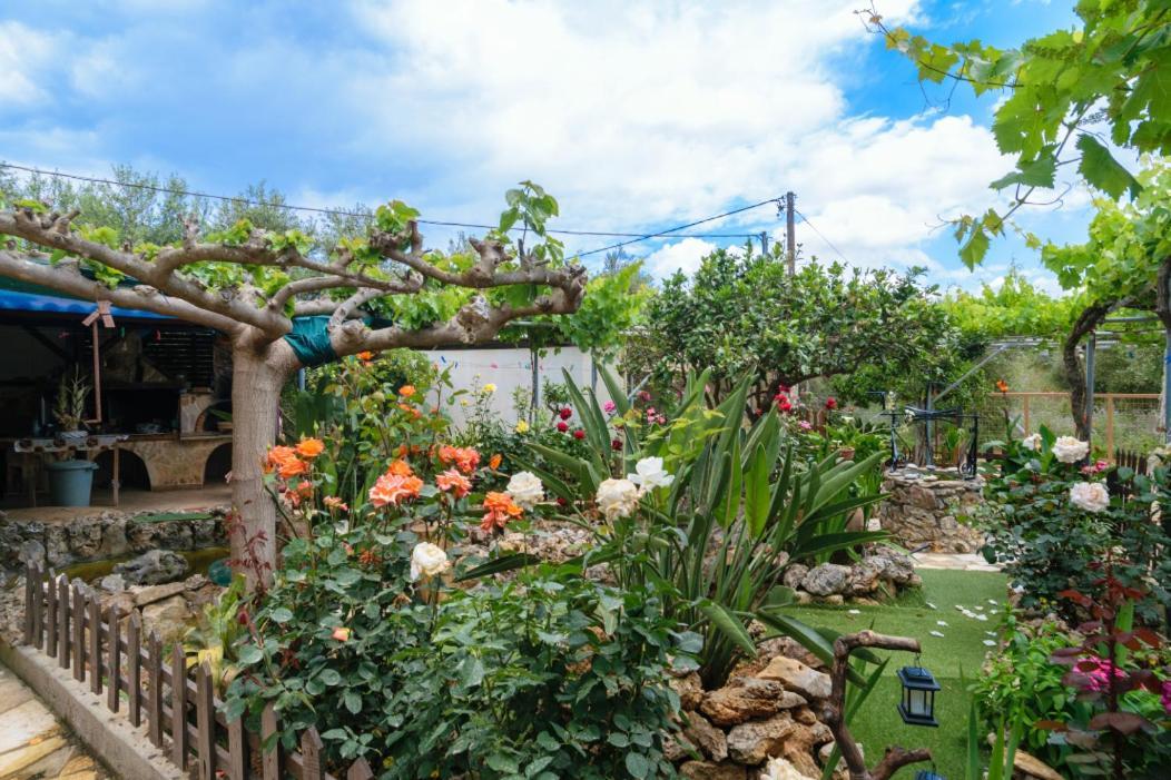 Dimitris'S Country House Agia  Екстериор снимка