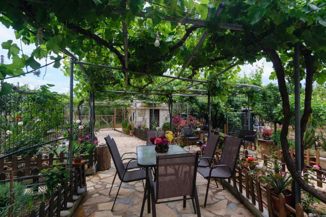 Dimitris'S Country House Agia  Екстериор снимка
